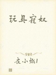 玩具宠奴