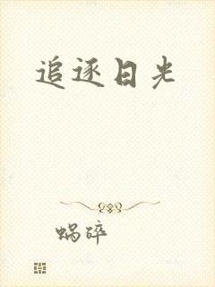 追逐日光封面