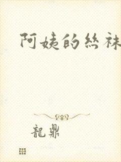 阿姨的丝袜小说