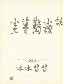 小清欢小说全文免费阅读