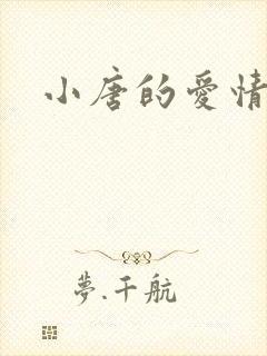 小唐的爱情史