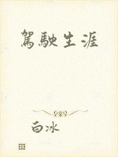 驾驶生涯