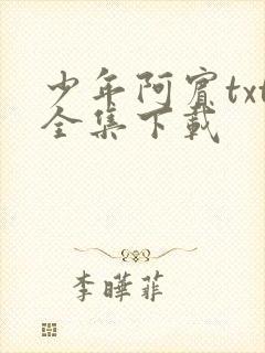 少年阿宾txt全集下载
