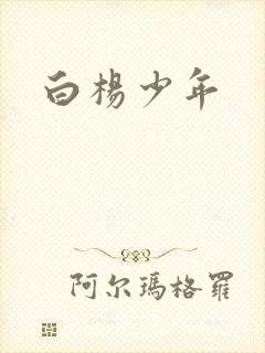 白杨少年