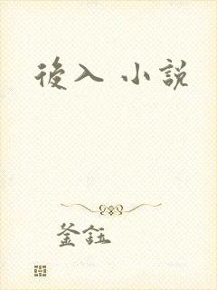 后入 小说