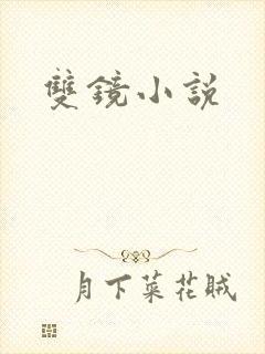 双镜小说封面