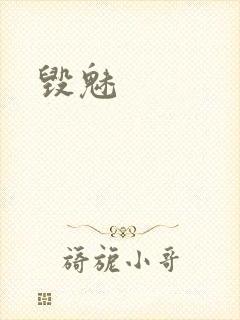 毁魅