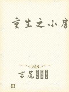 重生之小房东封面