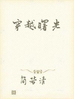 穿越曙光封面