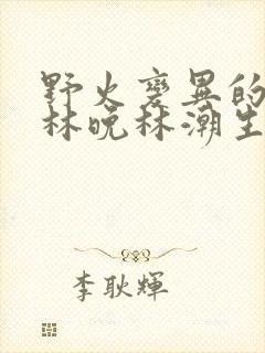 野火变异的父爱林晚林潮生封面