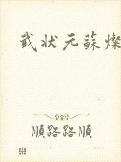 武状元苏灿封面