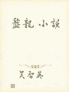 盘龙 小说