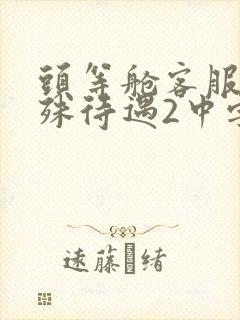 头等舱客服的特殊待遇2中字封面
