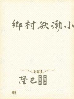 乡村欲潮小说