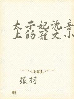 太子妃沈音和皇上的宠文小说
