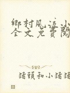 乡村风流小傻子全文免费阅读