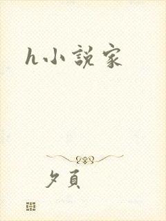 h小说家