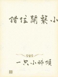 错位关系小说封面