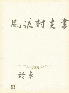 风流村支书