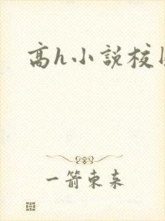 高h小说校园封面
