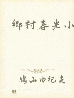 乡村春光小说