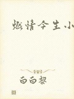 燃情今生小说