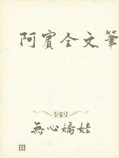 阿宾全文笔趣阁