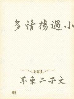 多情杨过小说
