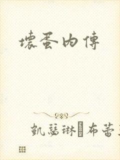 坏蛋内传