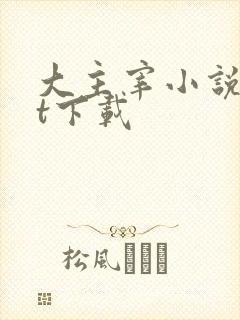 大主宰小说txt下载