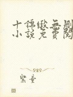 十锦缎无删原著小说免费阅读封面