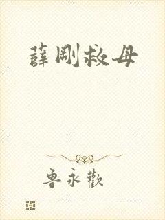 薛刚救母