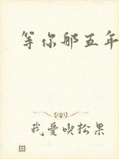 等你那五年
