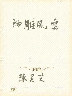神雕风云