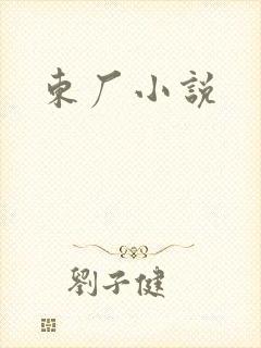 东厂小说封面