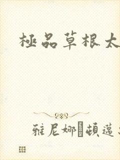 极品草根太子