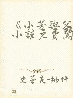 《小芳与父亲》小说免费阅读封面