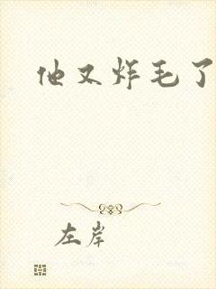 他又炸毛了封面