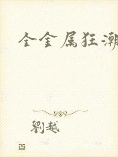 全金属狂潮小说
