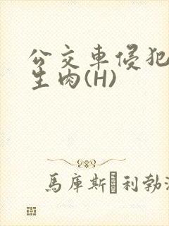 公交车侵犯小男生肉(H)