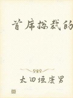 首席总裁的逃妻