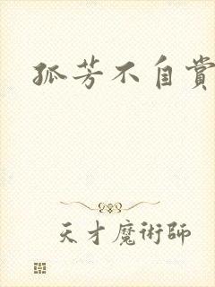 孤芳不自赏小说