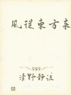 风从东方来封面