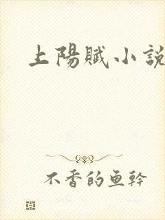 上阳赋小说