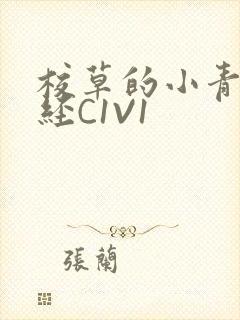 校草的小青梅不经C1V1封面