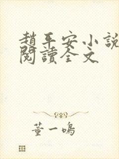 赵平安小说免费阅读全文
