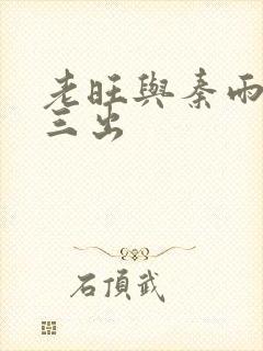 老旺与秦雨三进三出