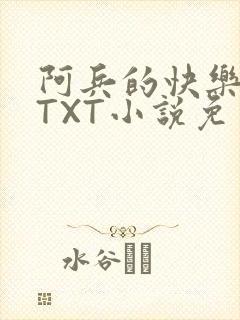 阿兵的快乐生活TXT小说免费阅读全章