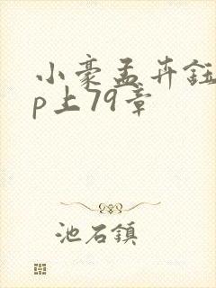 小豪孟卉钰慧三p上79章