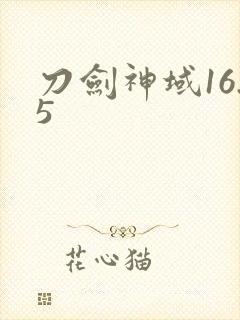 刀剑神域16.5